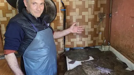 Demircan Aile Balık Restoranı 3