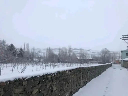 Digor 2