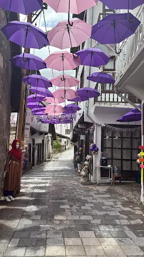 Reyhan Çiçeğim