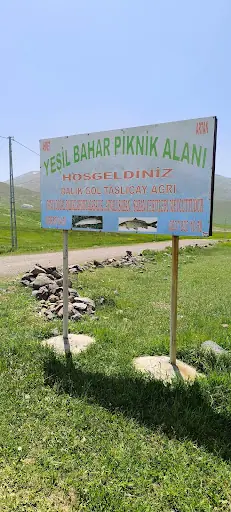 Yeşil Bahar Piknik alanı