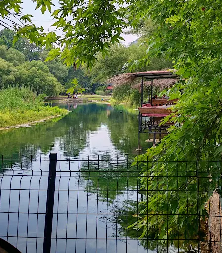 Gözde Balık 4