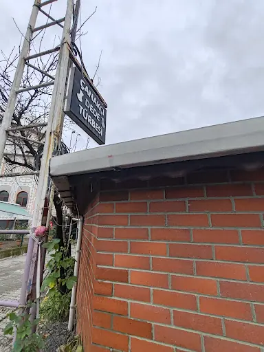 Çanakçı Dede Türbesi – Diğer (Güzellik), İstanbul (3. fotoğraf)