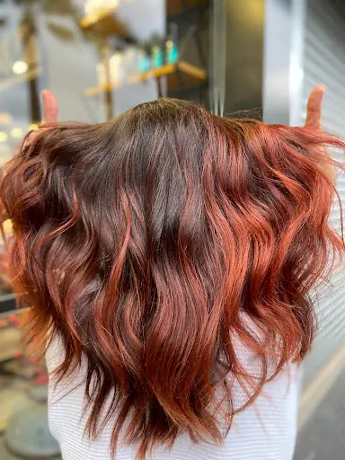 Back2Hair 3
