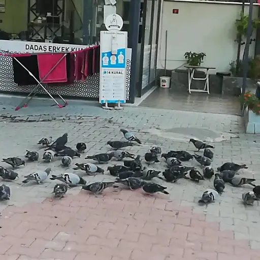 Dadaş ERKEK Kuaför Burhanettin Turhan 3