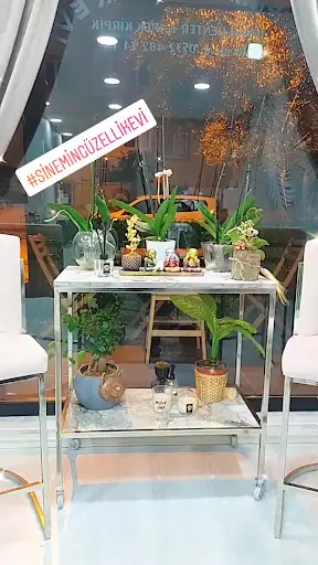 Sinem'in Güzellik Evi 3
