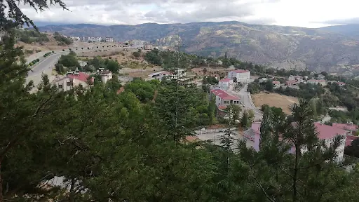 Koyulhisar Belediyesi