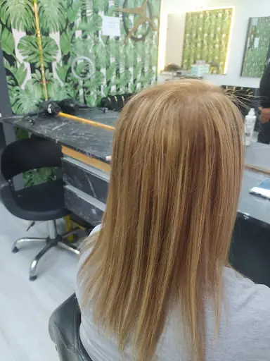 Şanzelize 4