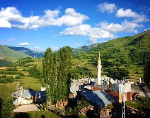 Posof Merkez Cami 5