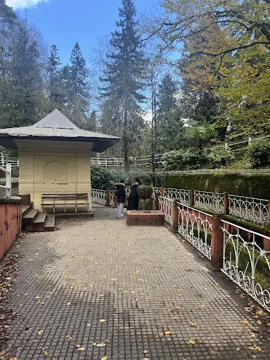 İnhalasyon Kürü