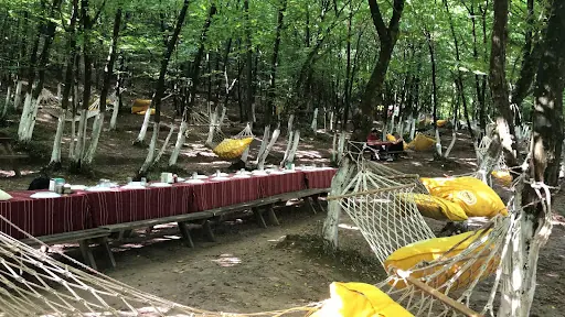Dereli Vadi Piknik Alanı ve Restaurant 5