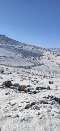 mervanîyê 2