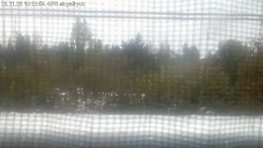 Duzce'nin En iyi Masaj Salonu 4