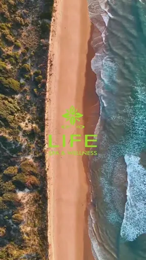 Life Spa & Wellness 3