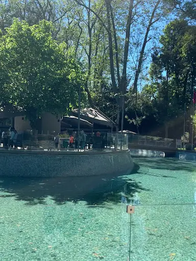 İBB Beykoz Kır Bahçesi Sosy 3