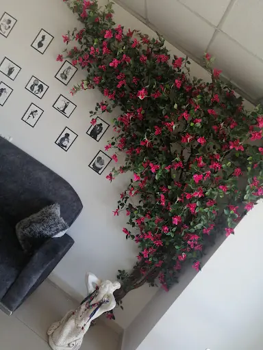 Emaliys Güzellik Merkezi 3