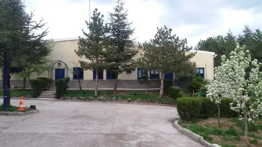 Ergo Yatak 3