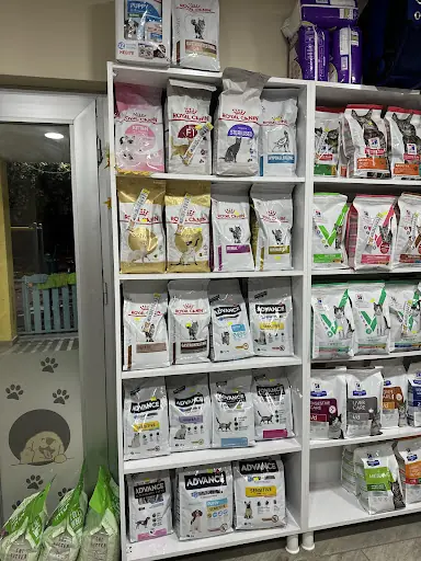 Patile veteriner kliniği 2