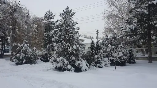 Mehmetçik Parkı 4