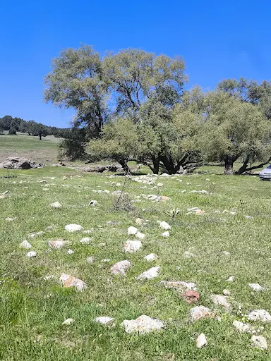 Kabakbaş