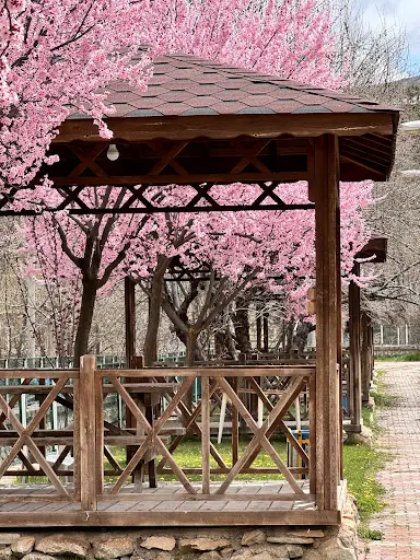 Doğal Yaşam Parkı