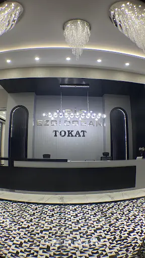 Aris Ezgi Doğan Tokat Vip