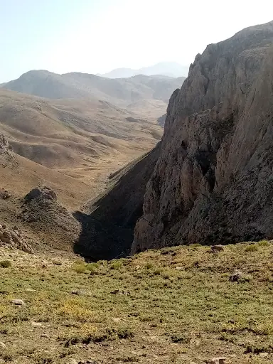 Ali gölü