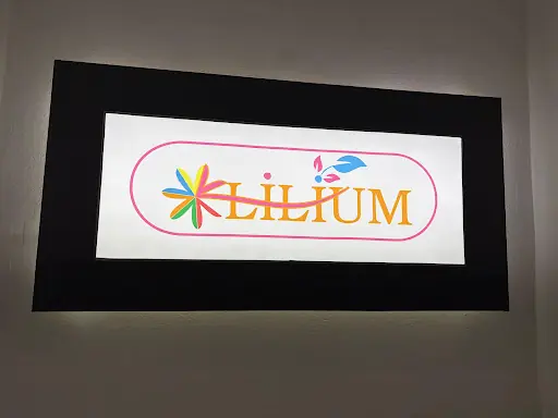 Lilium Vip Çubuk Güzellik Salonu 4