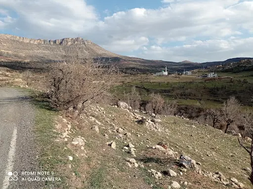 Güçlükonak Şafii Cami 4