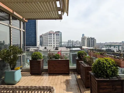 Peeling Peyzaj & Bahçe Bakım & Fidanlık – Diğer (Güzellik), İstanbul (4. fotoğraf)