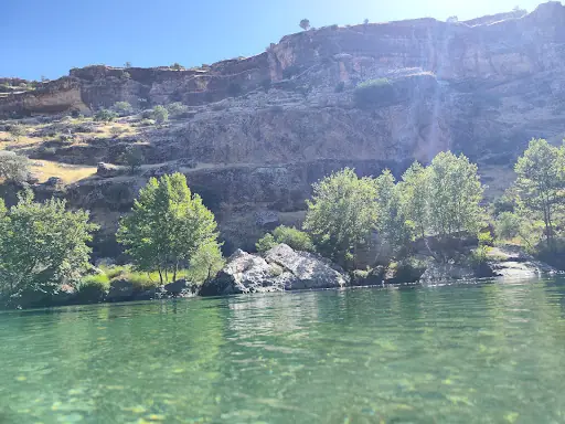 Şavaliya