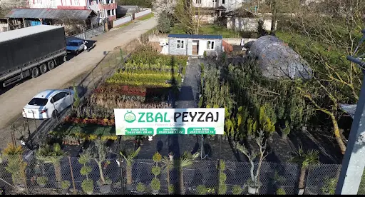 ÖZBAL PEYZAJ Fidancılık&Çiçekçilik