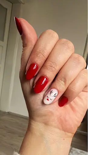 Evanailstudio 3