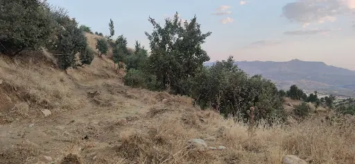 Zivet Kaplıcaları 4