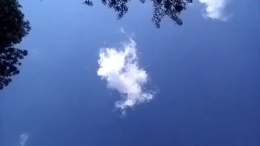 Yeniçağa Gölü Kuş Cenneti 5