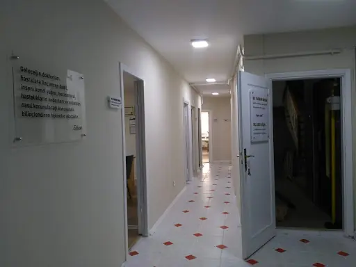 Zonguldak Ozon Akupunktur 4