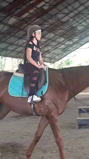 Arsin At Çiftliği 3