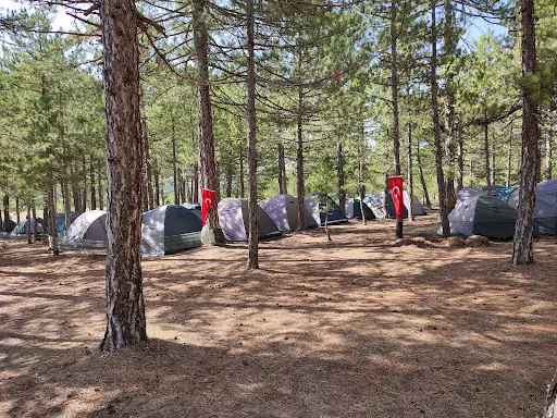 Düzçam Mesire Alanı
