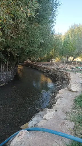 Xalo Dayının Aile Çay Bahçesi Ve Piknik Yeri
