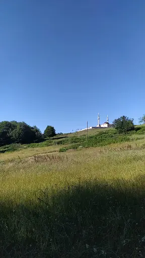 Dereköyü Mesire Alanı 2