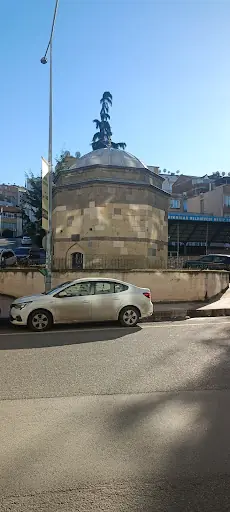 Bermuda (Bayan Kuaförü) 2