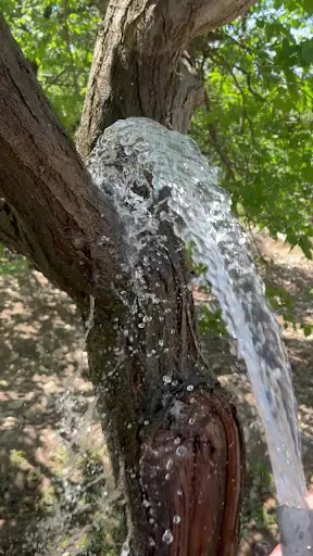 Çobanuşağı Köyü 3