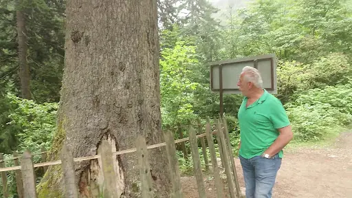 Örümcek Ormanı Tabiatı Koruma Alanı 3