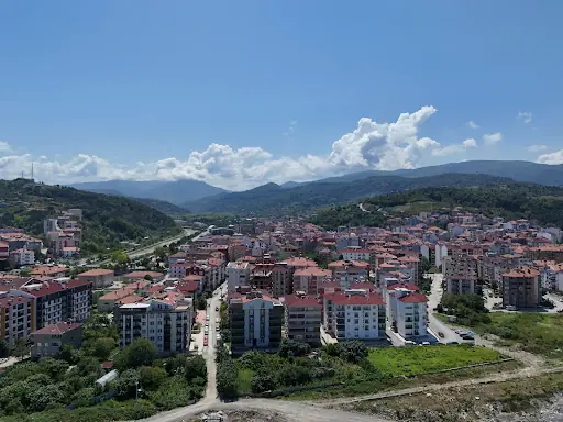 Türkeli Sahilgülü 4