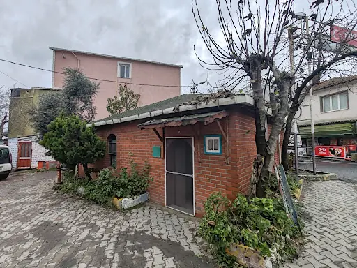 Çanakçı Dede Türbesi – Diğer (Güzellik), İstanbul (2. fotoğraf)