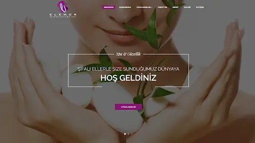 Elemor Spa 2