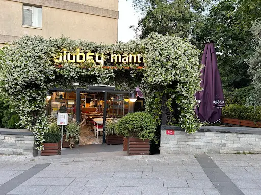 Ulubey Mantı – Diğer (Güzellik), İstanbul