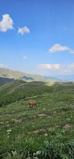 Ovit dağı 2