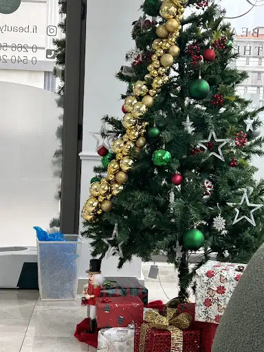 Fi Beauty Therapy 4