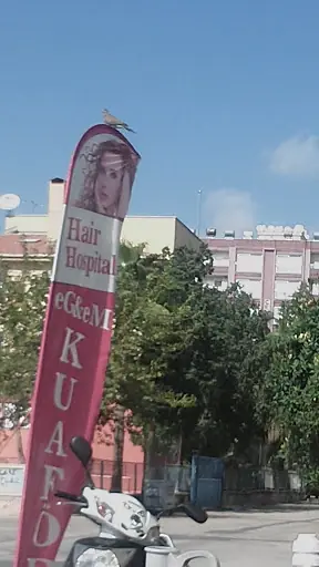 Hair Hospital Egem Bayan Kuaförü 3