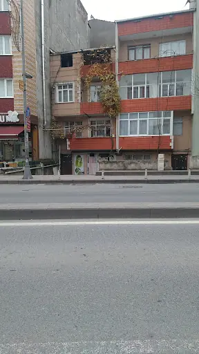 Ece Bayan Kuaförü